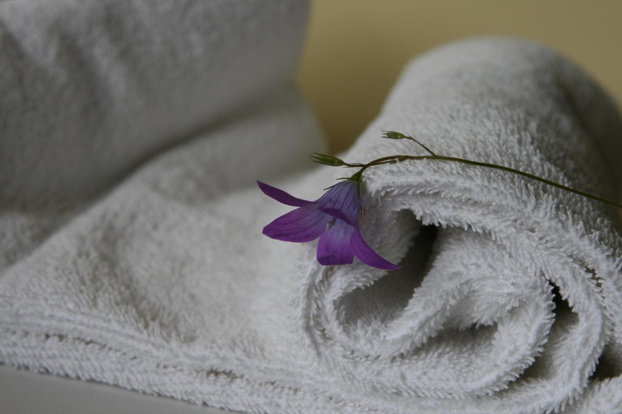 Hotel Audenis Birštonas Habitación foto